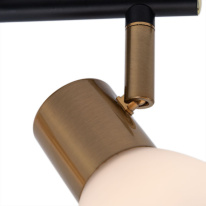 Спот ARTE Lamp A3117PL-2BK Купить Спот ARTE Lamp A3117PL-2BK