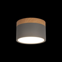 Цена на Детский точечный светильник LOFT IT 10162 Grey