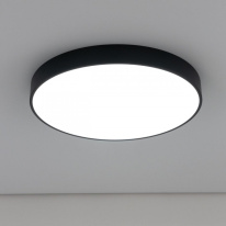 Купить с доставкой по Москве и России Накладной светильник Citilux CL72495G1