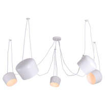 Фото Подвесная люстра Lussole LSP-8175