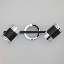 Купить с доставкой по Москве и России Спот Eurosvet 20058/2 черный