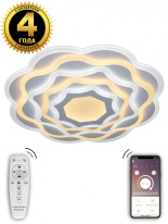 Фото Накладной светильник Natali Kovaltseva 81039/5C