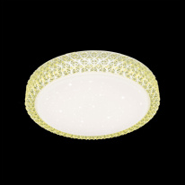 Купить с доставкой по Москве и России Накладной светильник Citilux CL705022