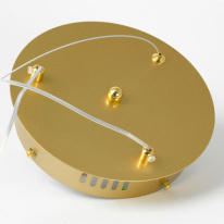 Подвесная люстра Lussole LSP-7161 в интернет магазине Гет Лайт