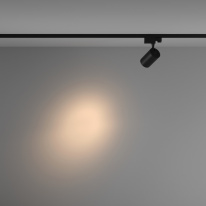 Цена на Светильник на шине Maytoni Technical TR029-3-10W3K-S-B