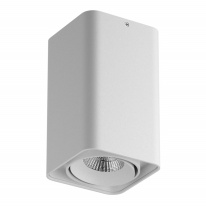 Влагозащищенный светильник Lightstar 052336 Фото Влагозащищенный светильник Lightstar 052336