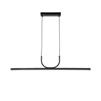 Фото Подвесной светильник Favourite 4096-1P