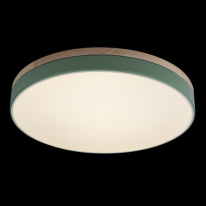 Купить Детский светильник LOFT IT 10001/36 Green