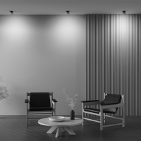 Купить с доставкой по Москве и России Встраиваемый светильник Maytoni Technical DL024-12W3K-BMG