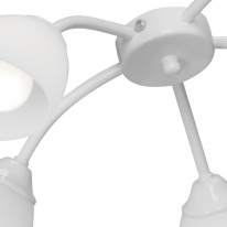 Купить Накладная люстра Vitaluce V3194/5PL