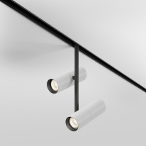 Купить Светильник на шине Maytoni Technical TR005-2-2X12W3K-BW