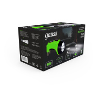 Купить с доставкой по Москве и России Фонарь Gauss GF105