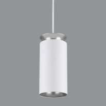 Фото Подвесной светильник Elektrostandard DLS021 9+4W 4200К белый матовый/серебро