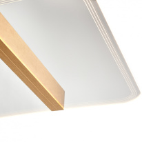 Купить Накладной светильник Vele Luce VL7224L21