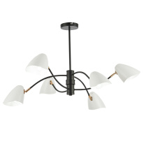 Фото Люстра на штанге Evoluce SLE103602-06