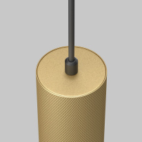 Купить с доставкой по Москве и России Подвесной светильник Maytoni Technical P082PL-GU10-MG