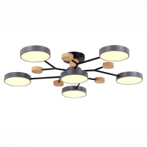 Купить Люстра на штанге Evoluce SLE6006-702-06