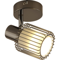 Фото Спот TOPLIGHT TL1252Y-01BC