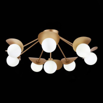 Купить с доставкой по Москве и России Накладная люстра Evoluce SLE220502-08