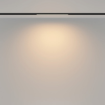 Купить с доставкой по Москве и России Maytoni Technical TR173-1-8WTW-B