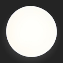Цена на Накладной светильник ST-Luce SL417.512.01