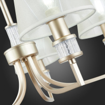 Цена на Подвесная люстра Evoluce SLE107503-05