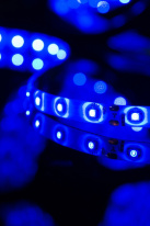 Лента SWG SWG360-12-4.8-B-65 в интернет магазине Гет Лайт