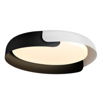 Купить с доставкой по Москве и России Накладной светильник Sonex 7706/60L