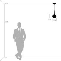 Купить с доставкой по Москве и России Подвесной светильник Lightstar 803110