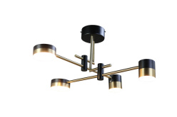 Купить Люстра на штанге Zortes ZRS.1805.04