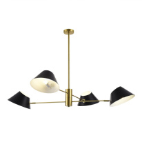 Фото Люстра на штанге Evoluce SLE1253-343-04