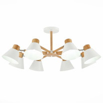 Фото Люстра на штанге Evoluce SLE103702-08