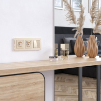 Купить Рамка Werkel W0032611