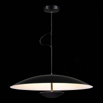 Цена на Подвесной светильник ST-Luce SL6502.413.01