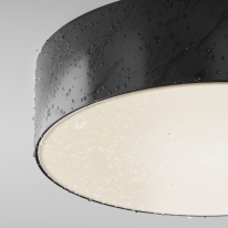 Купить Накладной уличный светильник Maytoni O431CL-L30B4K