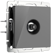 Фото Розетка Werkel W1183044