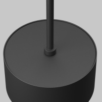 Купить с доставкой по Москве и России Подвесной светильник Maytoni Technical P102PL-12W4K-B