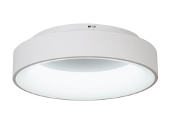 Купить с доставкой по Москве и России Накладной светильник MyFar MR2194-1PL