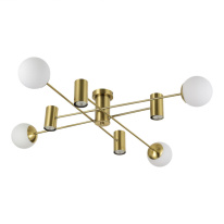 Фото Накладная люстра Evoluce SLE1105-302-08