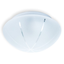 Фото Накладной светильник TOPLIGHT TL9430Y-02WH