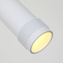 Подвесной светильник Favourite 2453-1P в интернет магазине Гет Лайт