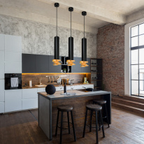 Купить с доставкой по Москве и России Подвесной светильник Elektrostandard DLN103 GU10 черный/золото