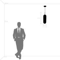 Купить Подвесной светильник Lightstar 690013