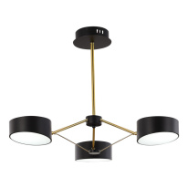 Фото Люстра на штанге Evoluce SLE6005-402-03