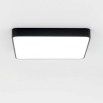 Купить Накладной светильник Citilux CL724K95G1