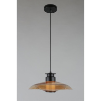 Подвесной светильник APLOYT APL.648.16.10 в интернет магазине Гет Лайт