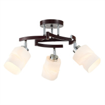 Фото Люстра на штанге Citilux CL126132