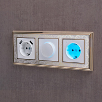 Купить Розетка Werkel W1171501