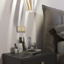 Купить с доставкой по Москве и России Выключатель Werkel W4510111