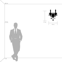 Купить Бра Lightstar 786622